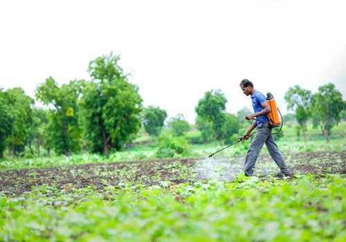 India Pesticides gains on incorporating subsidiary company
